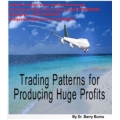 Barry Burns – Trading Patterns for Producing Huge Profits  (Total size: 21.0 MB Contains: 1 folder 9 files)