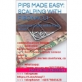 Pips Made Easy - Scalping With Fibonacci - Consistent profits within Forex trends! by Matthew Emerson