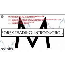 FX Trading Course by MentFX 1 on 1 Mentorship and course