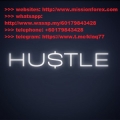 HUSTLE trading tutorial (Total size: 3.31 GB Contains: 16 files)