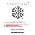SnowFlake Capital Compendium I & II PDF (Total size: 3.9 MB Contains: 5 files)
