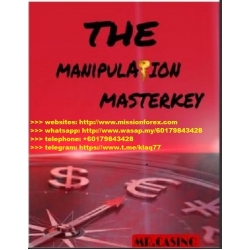 Mr Casino Forex Hacks - The Manipulation Mastery (Total size: 9.8 MB Contains: 4 files)