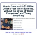 Ryan Lee - Micro-Business Workshop (Total size: 11.17 GB Contains: 5 folders 25 files)